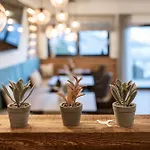 Aparthotel Gluecksmoment Goetschlhof